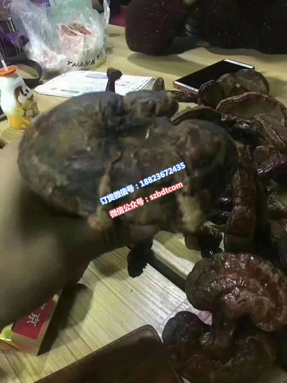 4.jpg